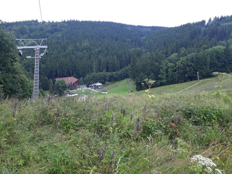 20250725_154733.jpg