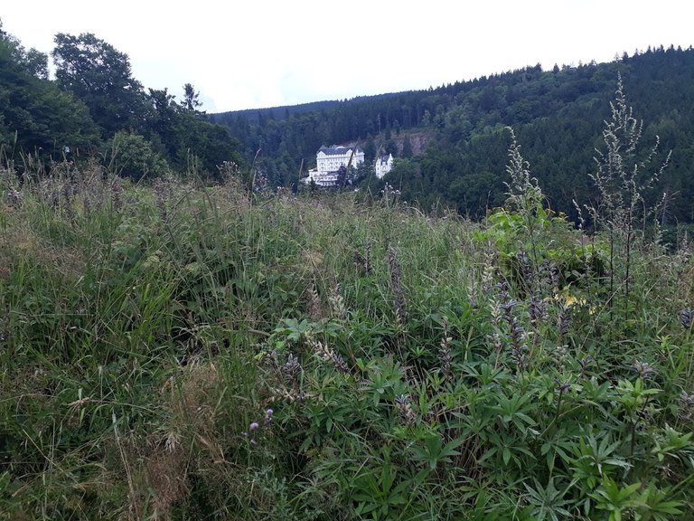 20250725_154827.jpg
