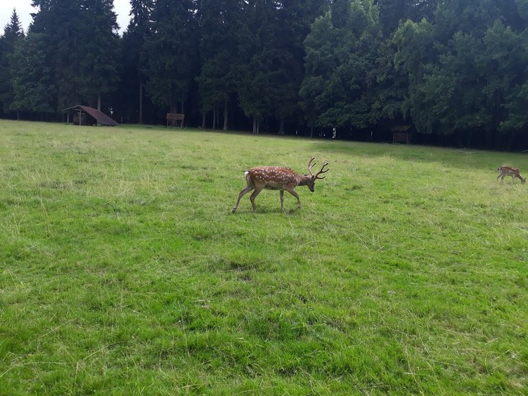 20250725_155450.jpg
