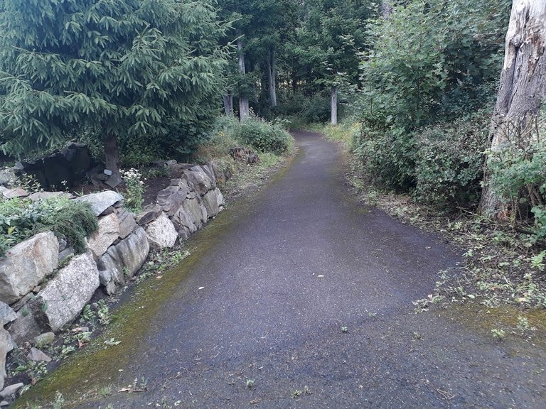 20250725_161720.jpg