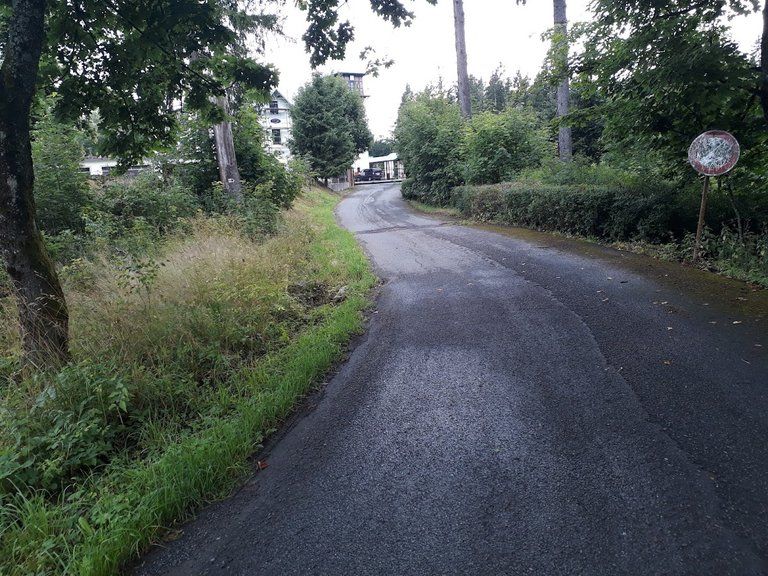 20250725_161621.jpg