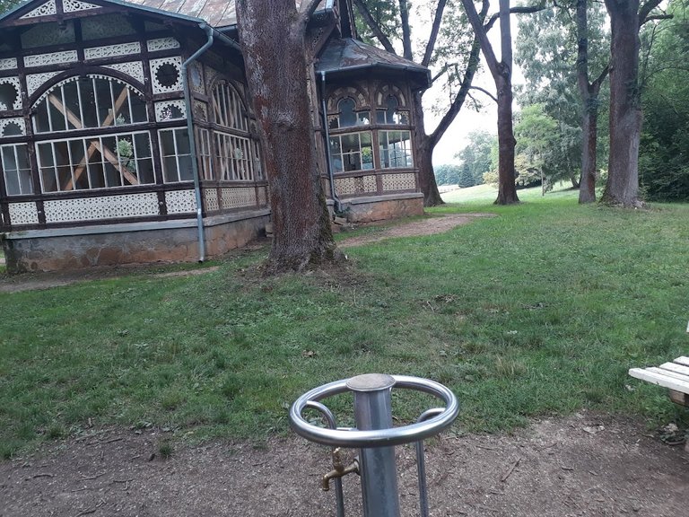 20250727_153026.jpg