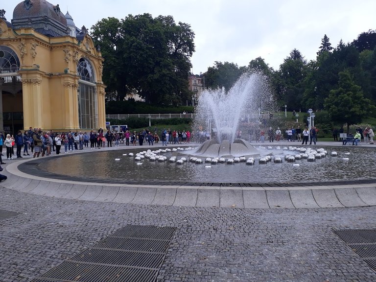 20250728_150059.jpg
