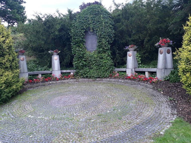 20250730_155907.jpg