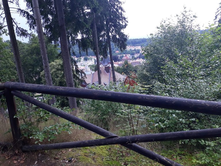 20250801_154500.jpg