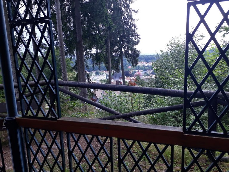 20250801_154454.jpg