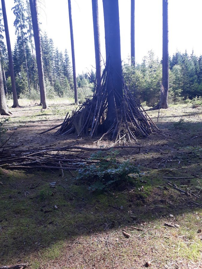 20250807_162301.jpg