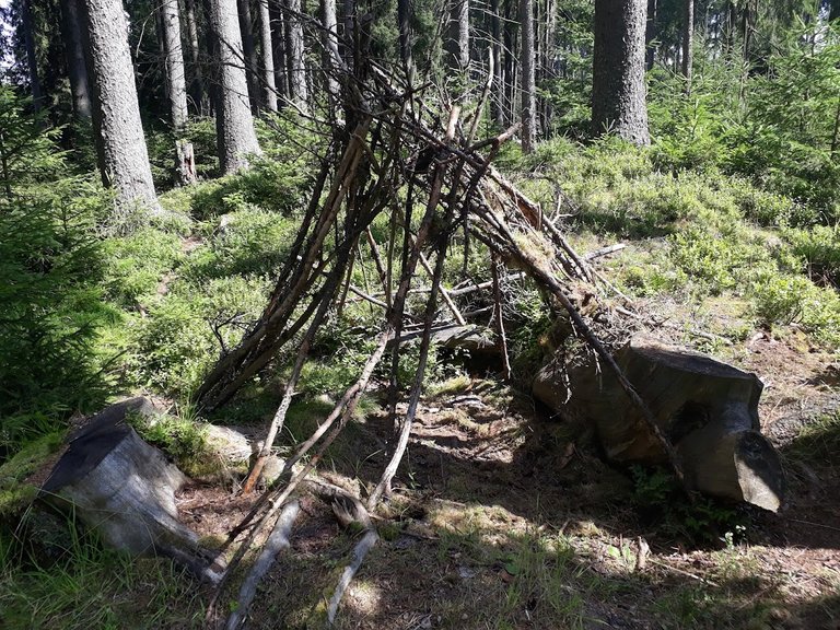 20250807_145931.jpg