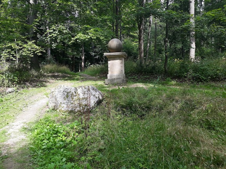 20250807_141126.jpg