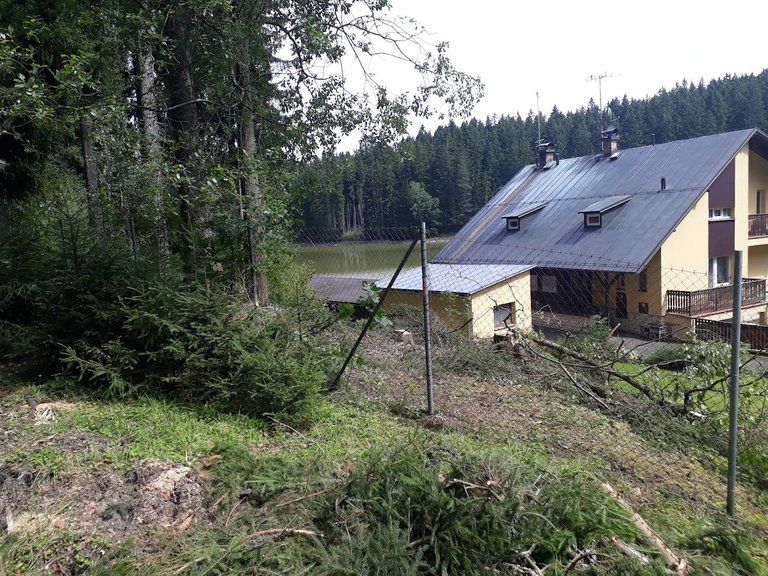 20250807_143448.jpg