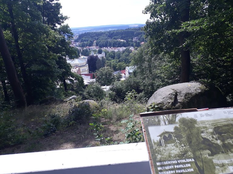 20250807_141316.jpg