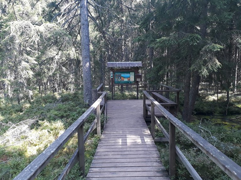 20250807_144941.jpg