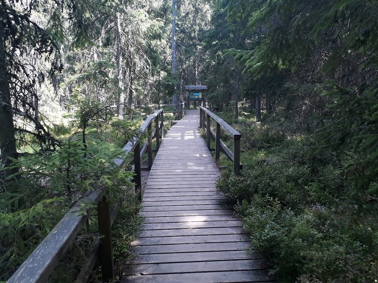 20250807_144919.jpg