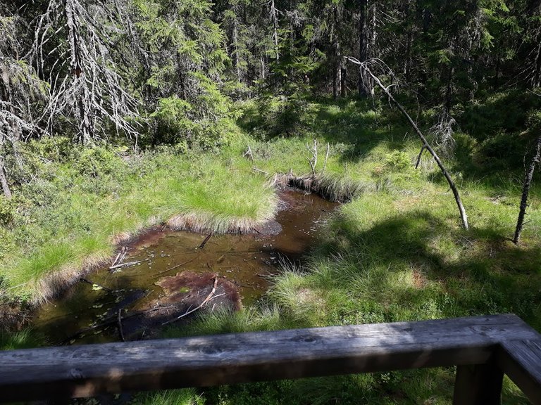 20250807_144950.jpg