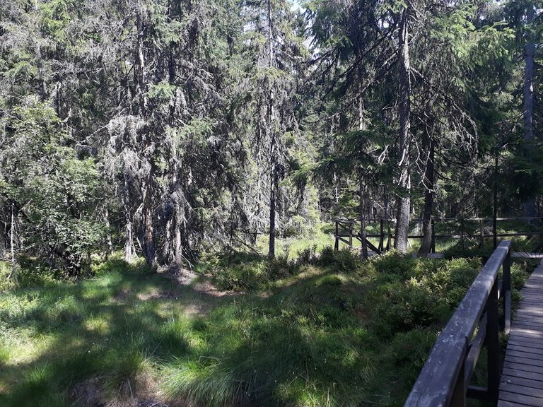 20250807_144927.jpg