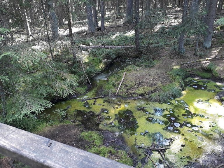 20250807_145028.jpg