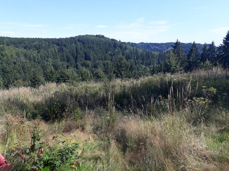 20250807_153727.jpg