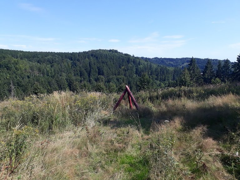 20250807_153715.jpg