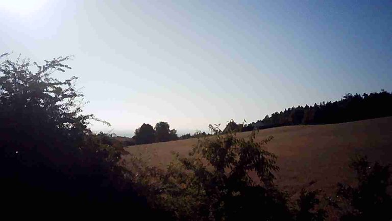JPG_1754928757768.jpg