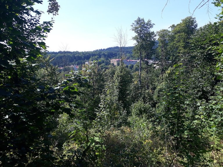 20250810_153444.jpg