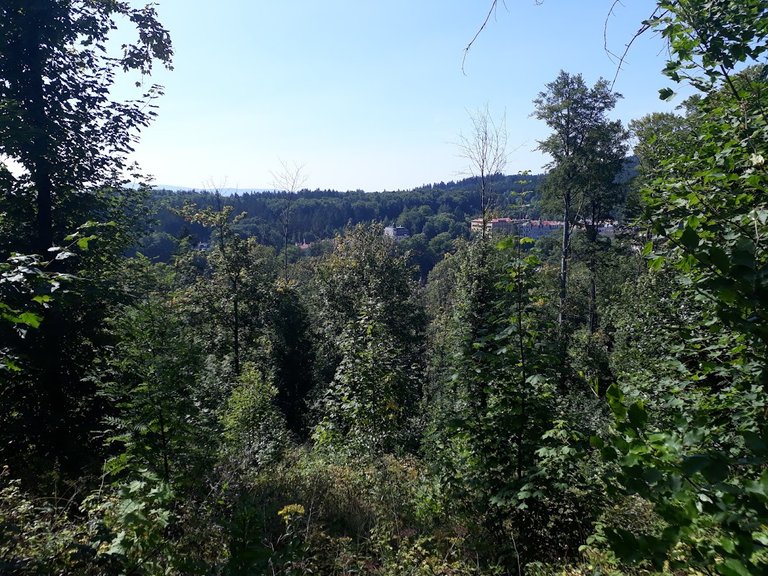 20250810_153454.jpg