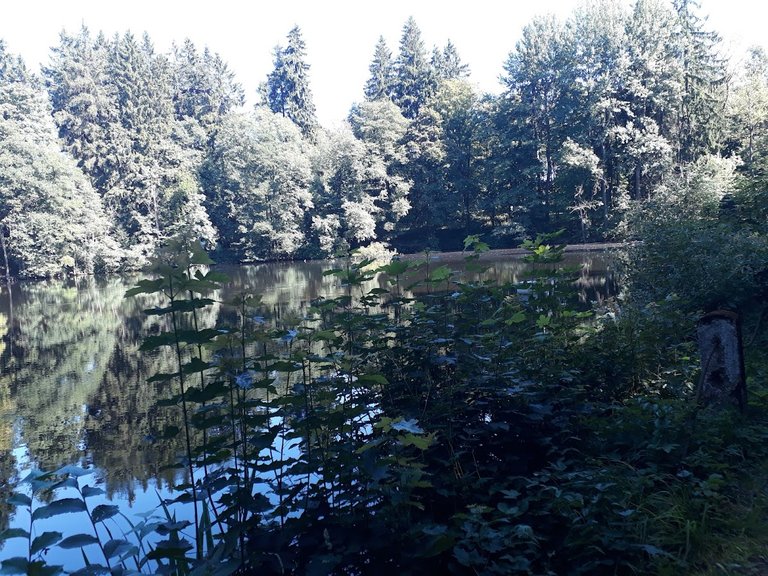20250812_154341.jpg