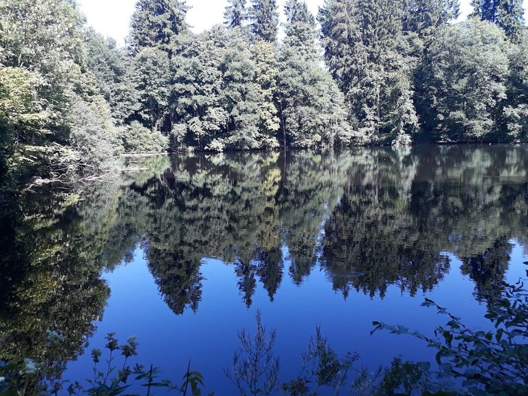 20250812_154351.jpg