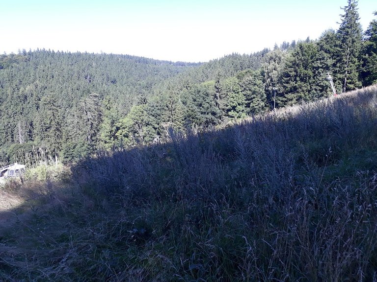20250812_155524.jpg