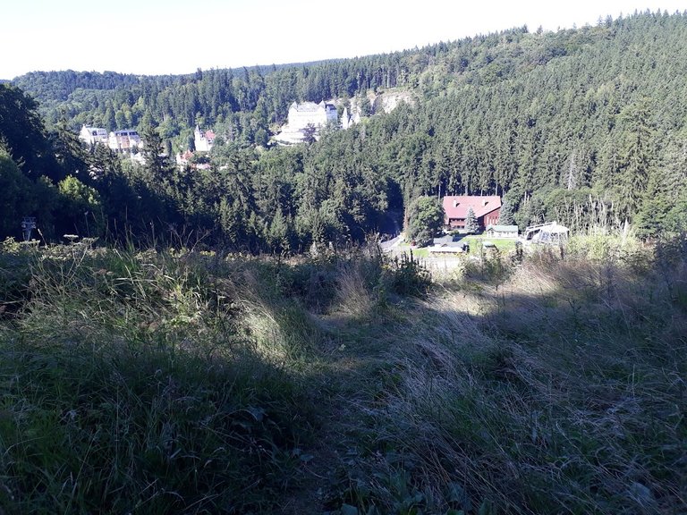 20250812_155517.jpg