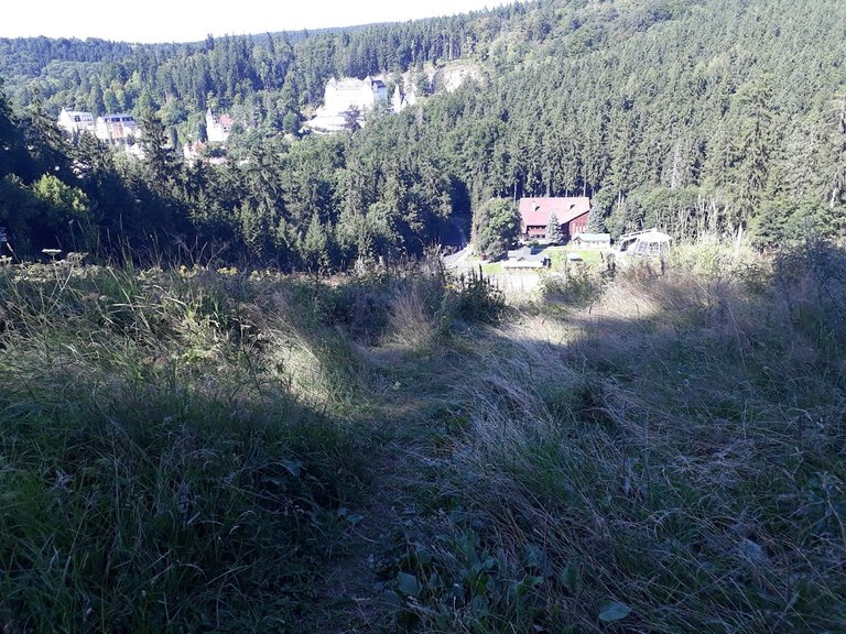 20250812_155519.jpg
