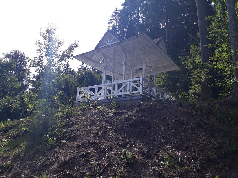 20250815_154430.jpg