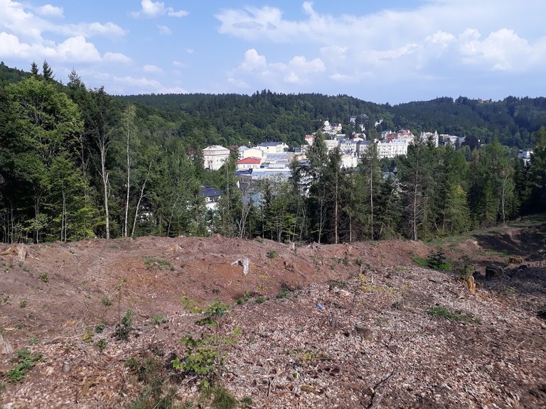 20250815_154452.jpg