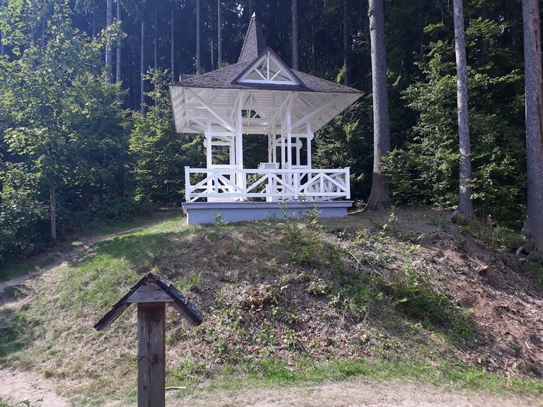 20250815_154458.jpg