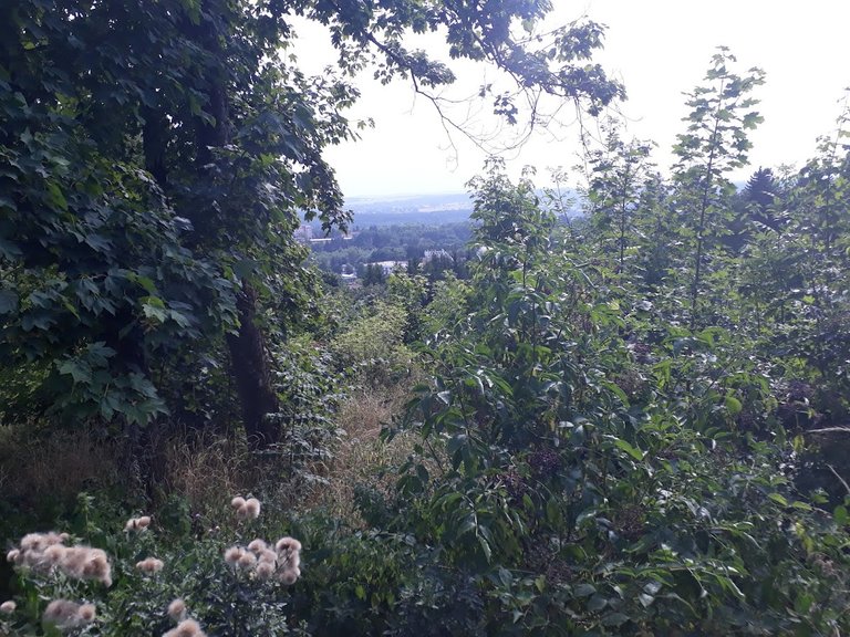 20250815_160750.jpg