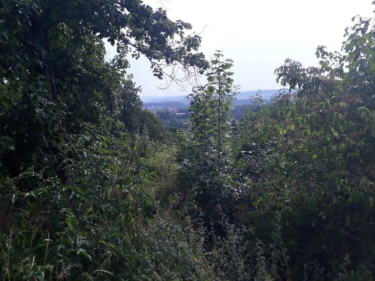 20250815_160800.jpg