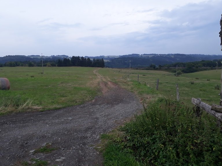 20250816_160543.jpg