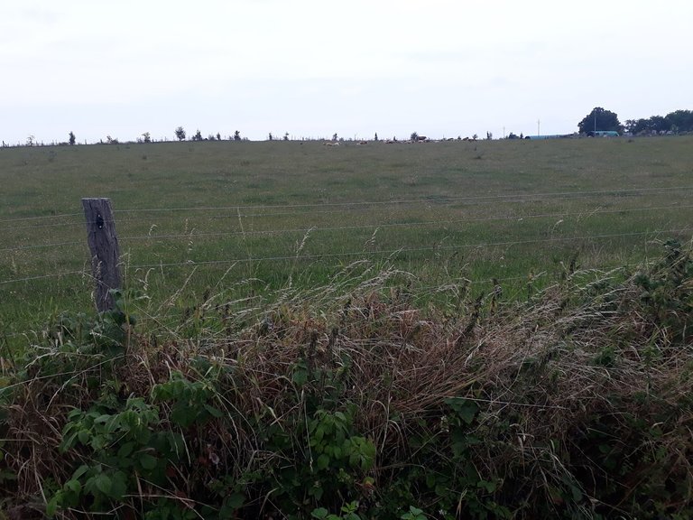 20250816_160605.jpg
