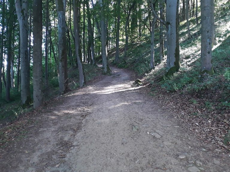20250819_155118.jpg