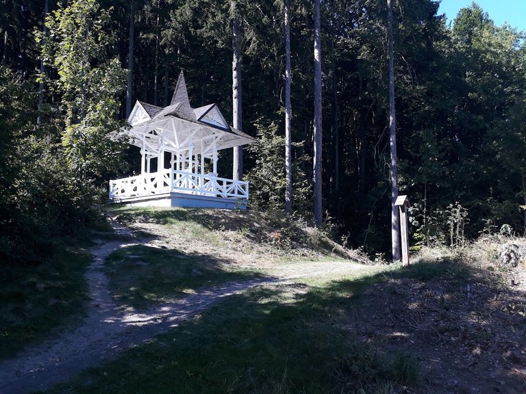 20250819_155453.jpg