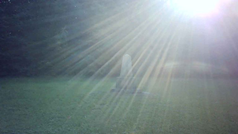 JPG_1756741255275.jpg
