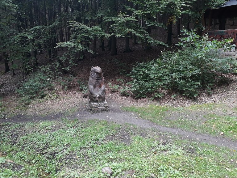 20250917_151626.jpg