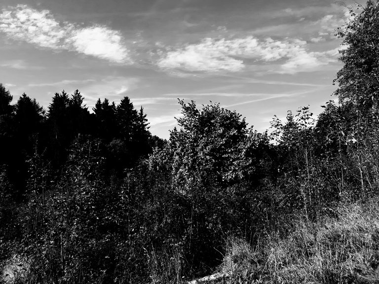 20250921_100508.jpg