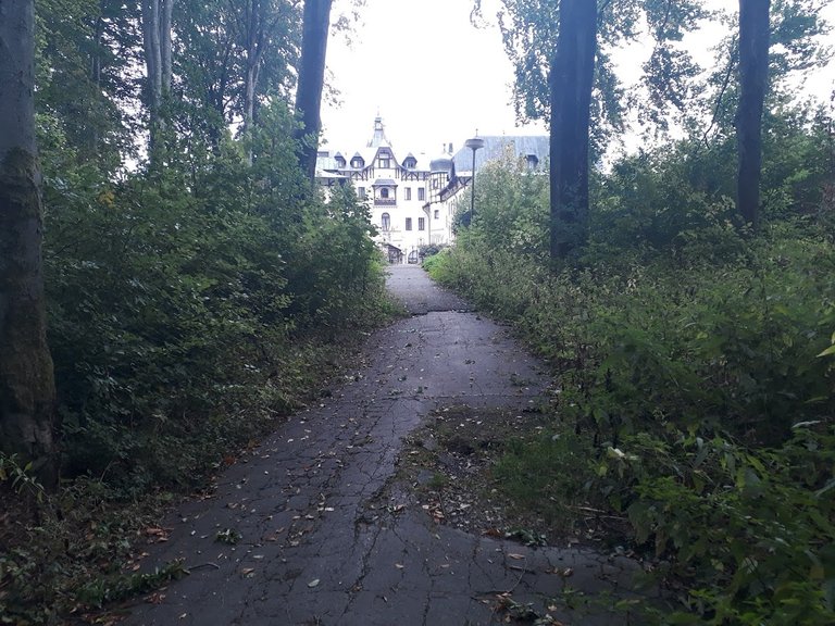 20250924_154630.jpg