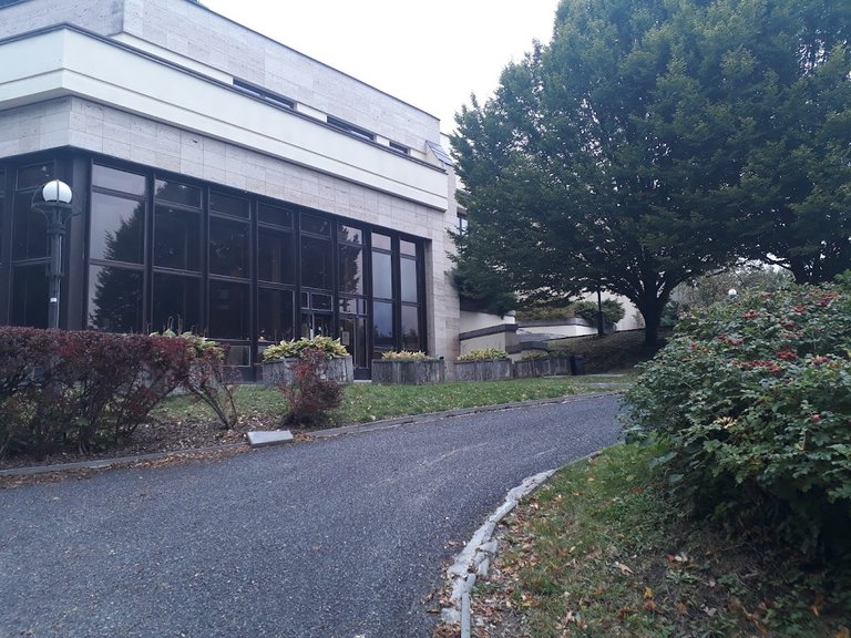 20250924_154920.jpg