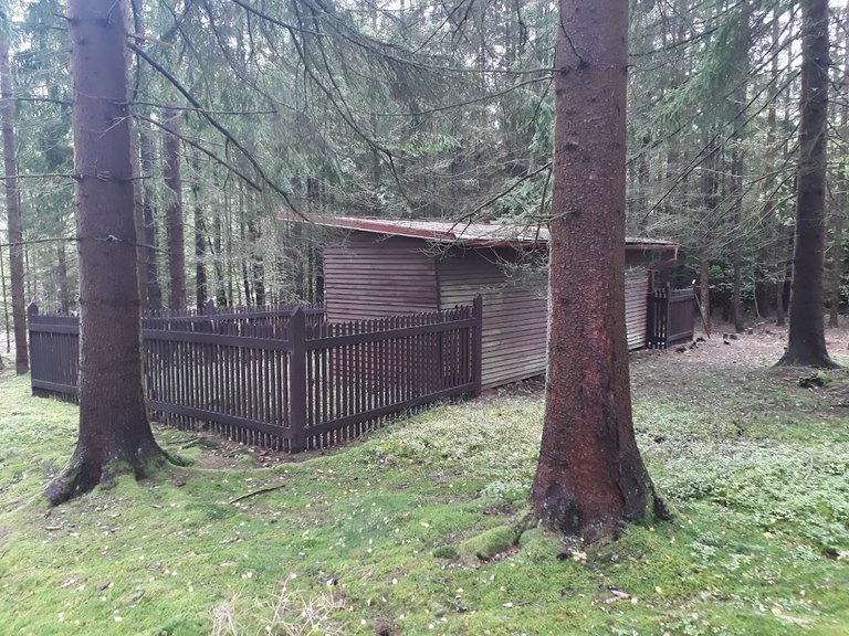 20250925_161436.jpg