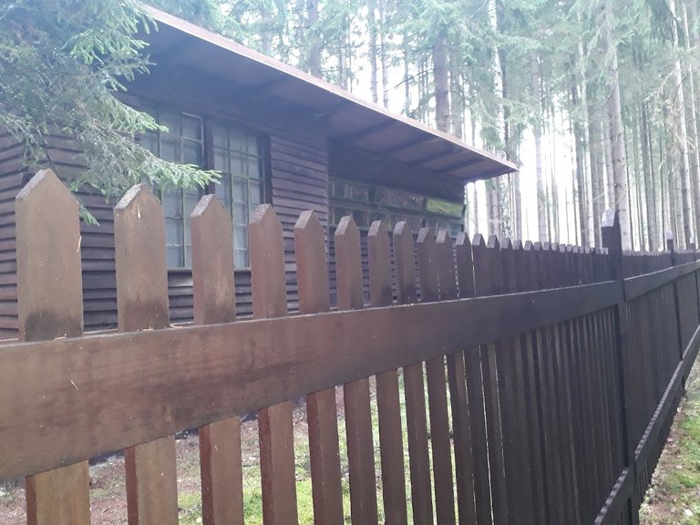 20250925_161619.jpg