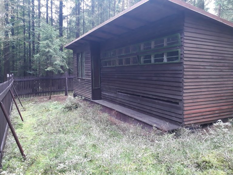 20250925_161658.jpg