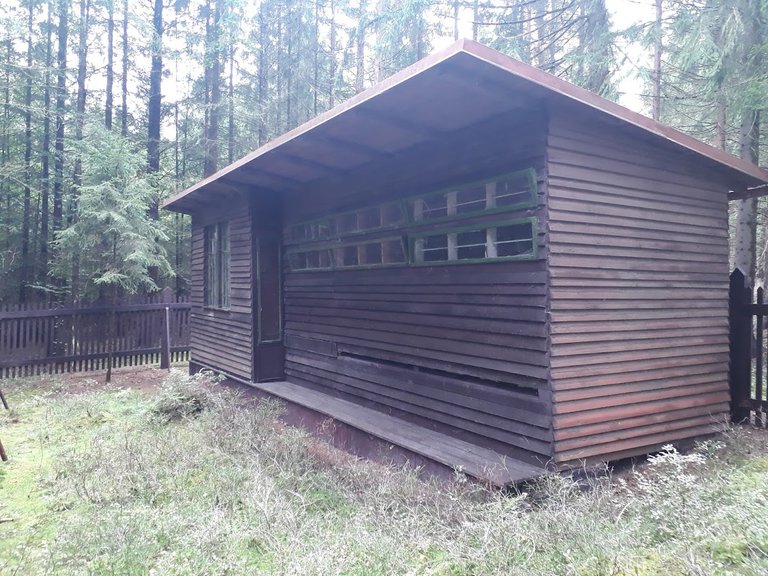 20250925_161703.jpg