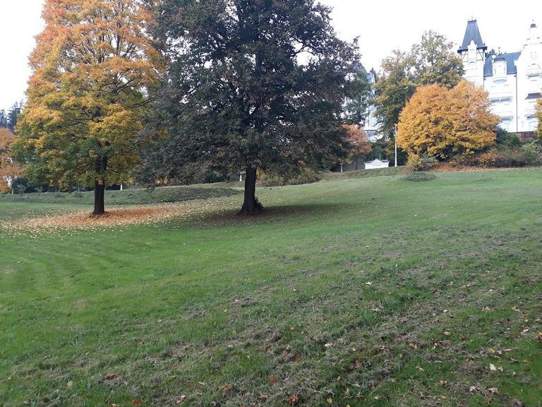 20251012_155949.jpg