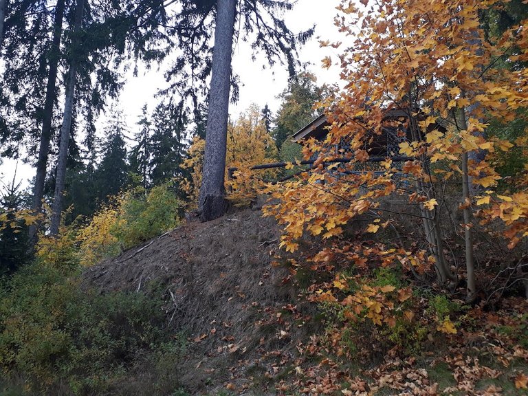 20251012_160335.jpg